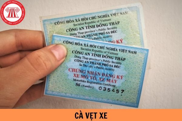 giay dang ky xe cavet va thong tin ve muc phat khi khong mang theo 1