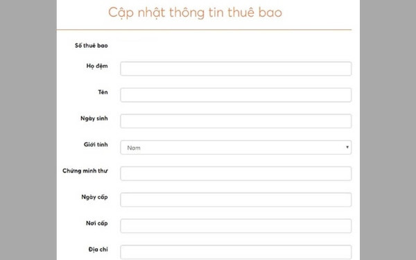 Mẫu cập nhật thông tin thuê bao cá nhân trên trang web Vietnamobile