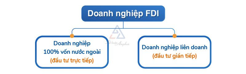 quy trình thủ tục thành lập công ty FDI trực tiếp và gián tiếp tại Việt Nam