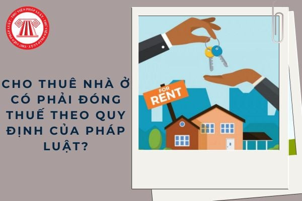 Cá nhân tìm hiểu quy định về thuế cho thuê nhà và các nghĩa vụ tài chính liên quan
