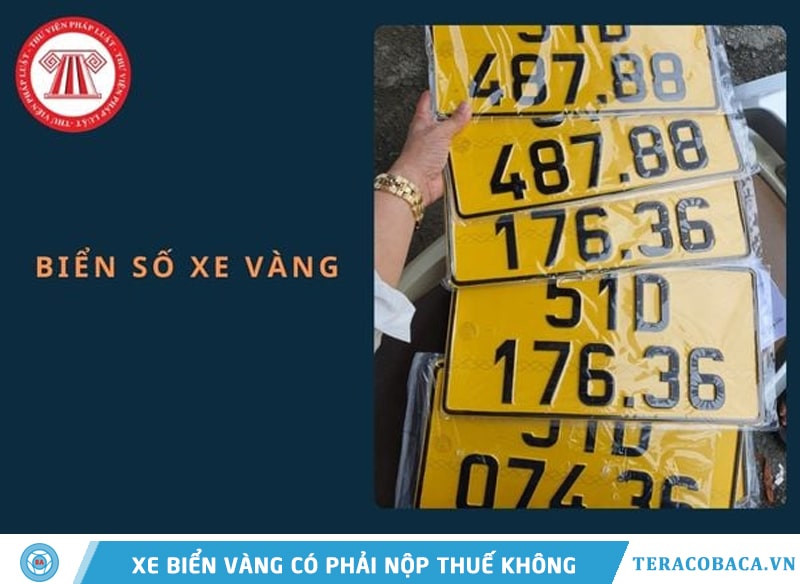 Xe biển vàng và quy định về thuế kinh doanh vận tải