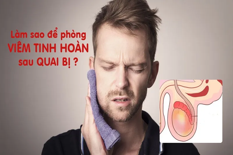 Biến chứng quai bị gây viêm tinh hoàn ở nam giới trưởng thành có thể dẫn đến vô sinh