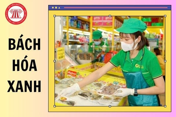 Khách hàng mua sắm tại Bách Hóa Xanh dịp Tết