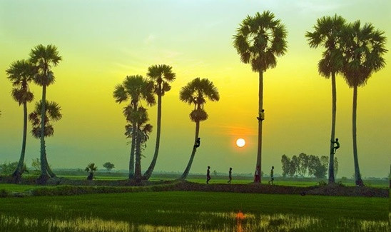 Vẻ đẹp bình yên của Châu Đốc An Giang