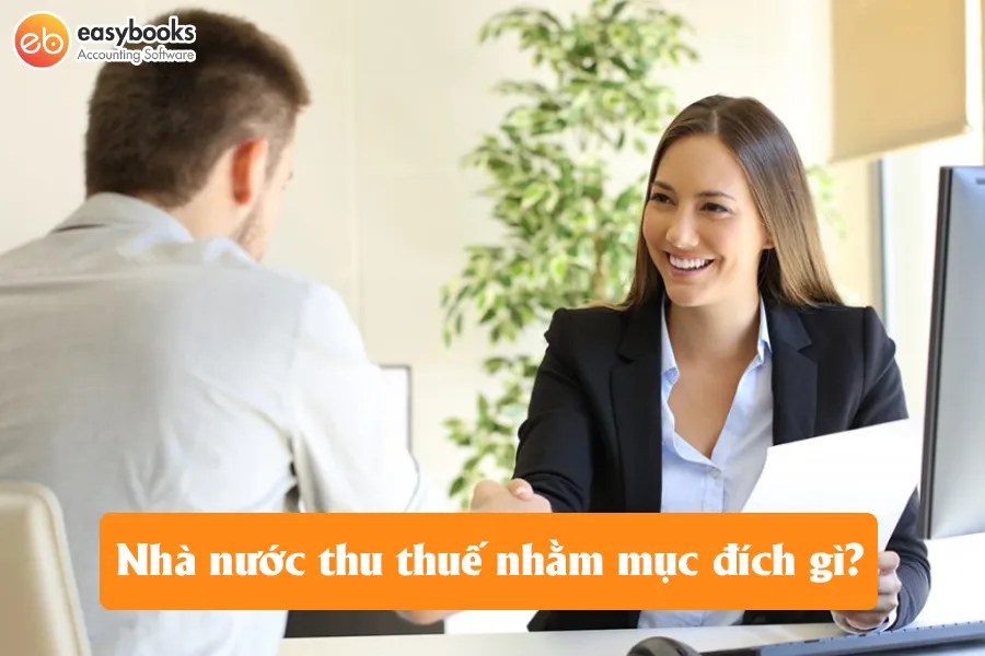 Mục đích sử dụng tiền thuế của nhà nước