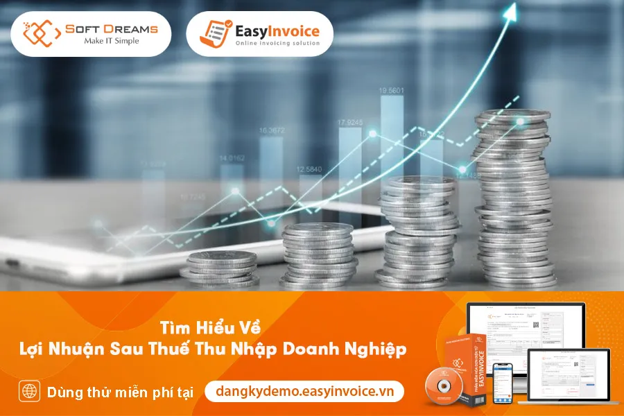 tim hieu ve loi nhuan sau thue thu nhap doanh nghiep 1