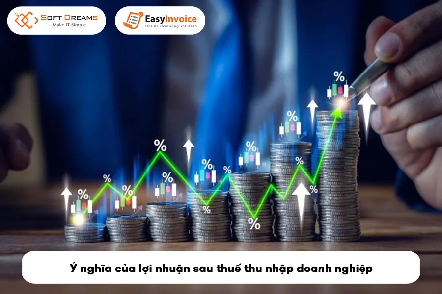 Ý nghĩa của lợi nhuận sau thuế trong đánh giá hiệu quả kinh doanh